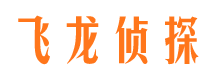 琅琊私家侦探